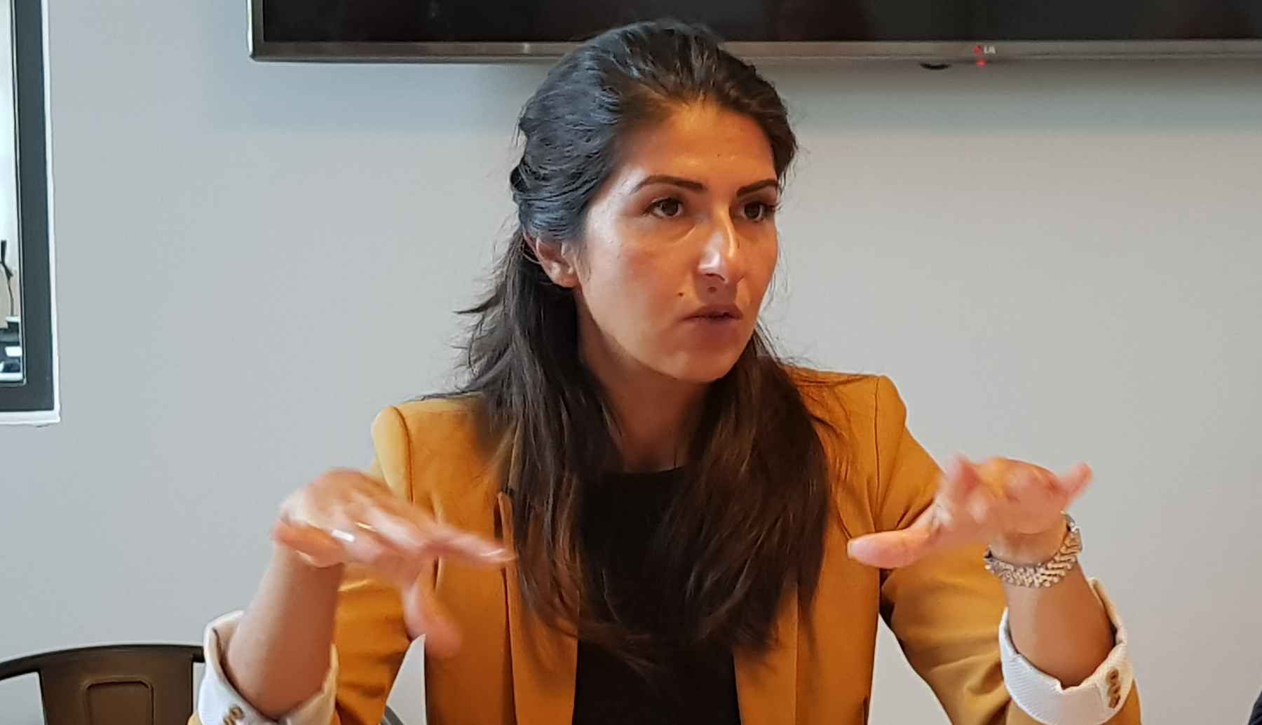 Integrations-Staatssekretärin