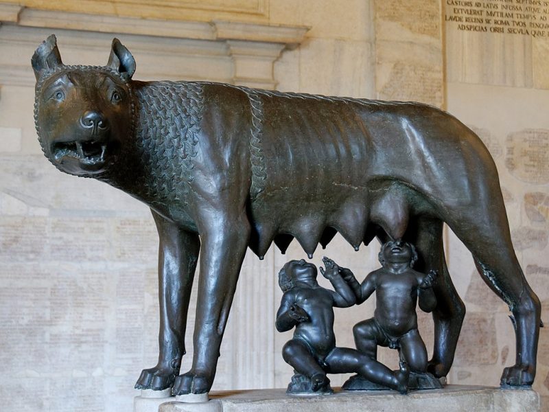 Romulus und Remus, Wölfin