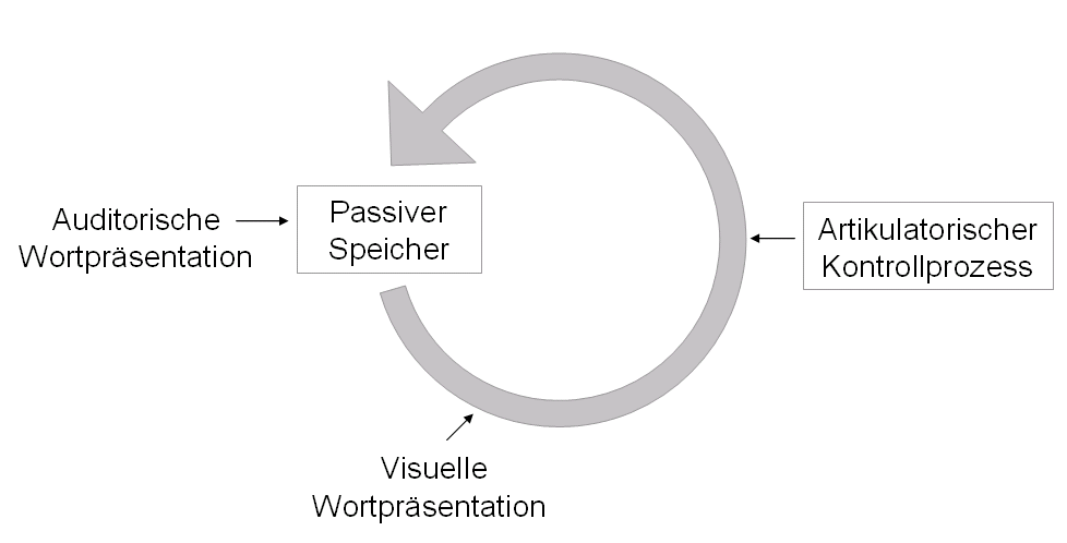 Phonologische Schleife