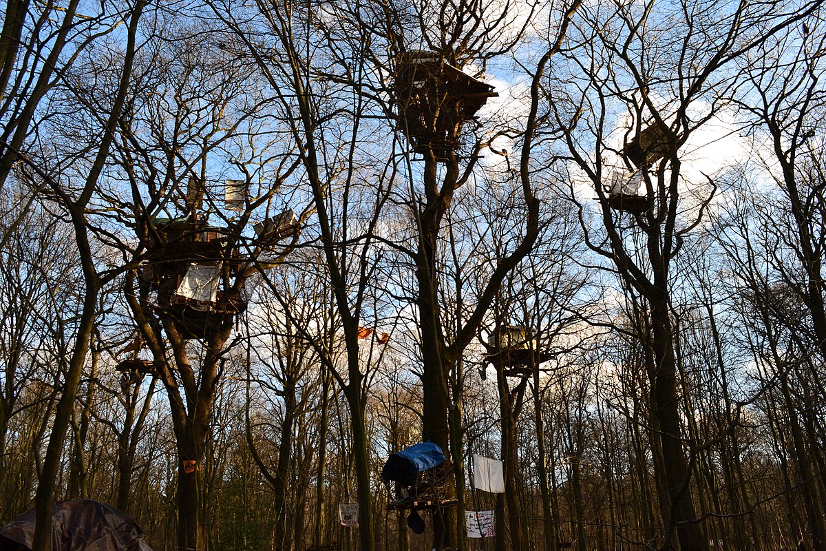 Hambacher Forst