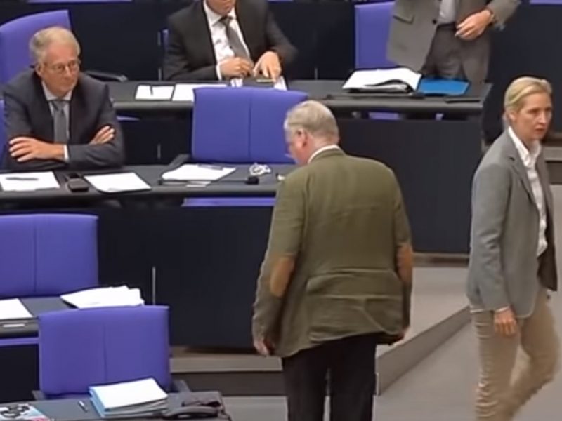 AfD - verläßt beleidigt die Generaldebatte des Bundestages