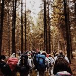 Hambacher Wald