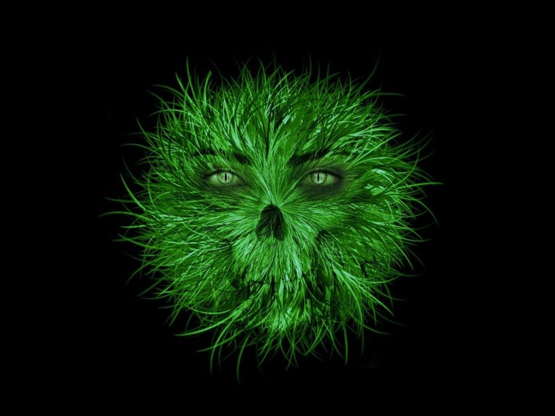 Grünes Monster (nicht Armin Laschet)
