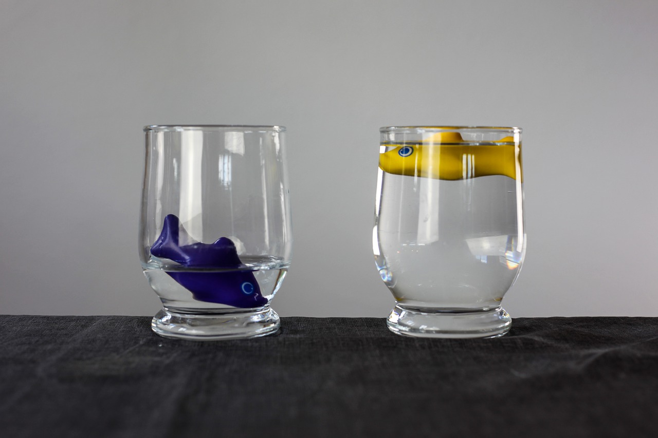 2 Wassergläser mit Fischen