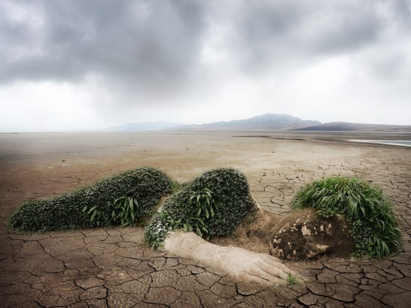 Klimawandel und Verantwortung - Symbolbild