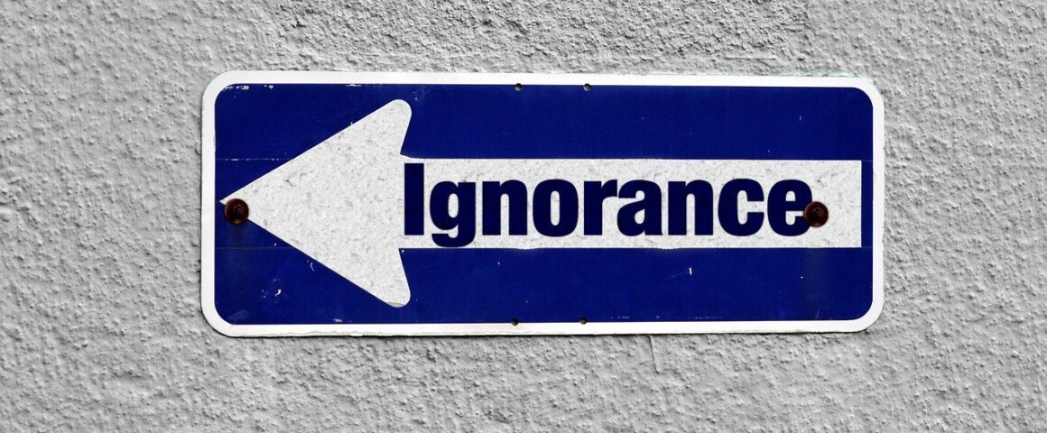 Einbahnstraßenschild, Aufschrift "ignorance"