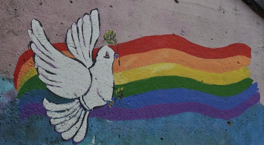 Friedenstaube und Regenbogenflagge