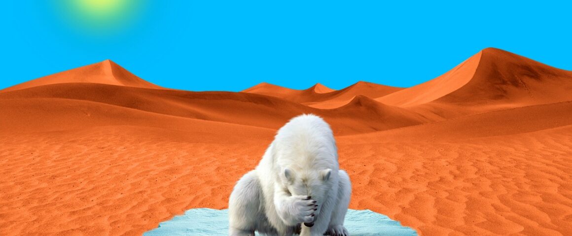 Eisbär auf Eisscholle in der Wüste - Symbolbild Klimakrise