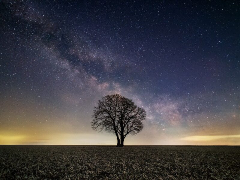 Baum vor Sternenhimmel