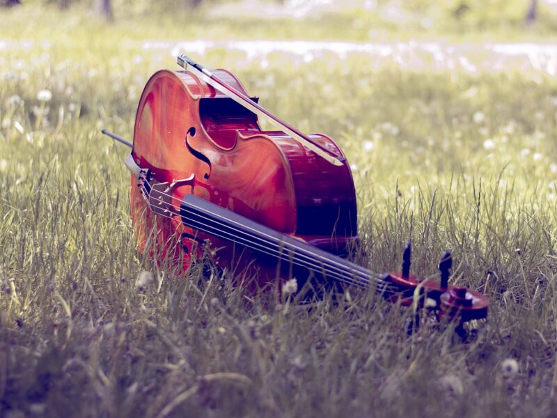 Cello Auf Wiese