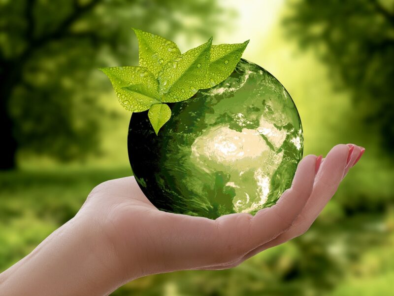 Symbolbild "Umwelt und Klimaschutz"