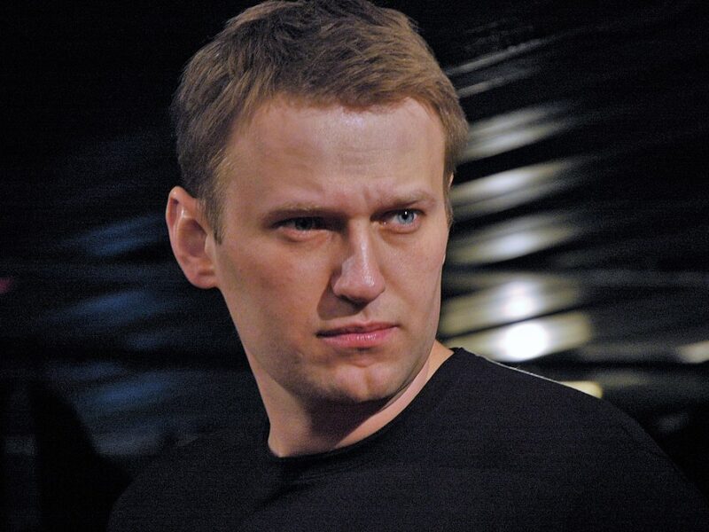 Alexei Navalny, 2007