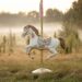 Karussellpferd auf einer Wiese mit Morgennebel