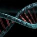 Bild der Doppelhelixstruktur einer DNA