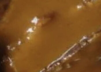 Braune Soße auf bayerischem Gericht