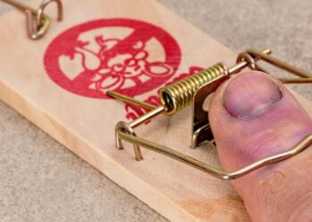 Finger in Mausefalle