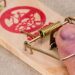 Finger in Mausefalle