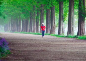 Park-Allee mit Spaziergänger*in