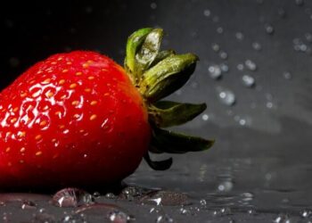 Erdbeere auf schwarzen Grund