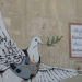 Friedenstaube Bethlehem - Graffiti von Banksy