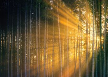 Natur, Geheimnisvoll, Hoffnung