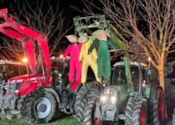 Bauern mit Trecker und Galgen, an dem 3 Puppen hängen in den Farben der Ampelregierung