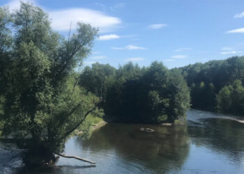 Ruhr bei Arnsberg Neheim,