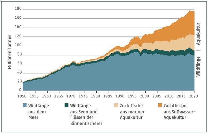 Statistik Fischfang 1950-2020