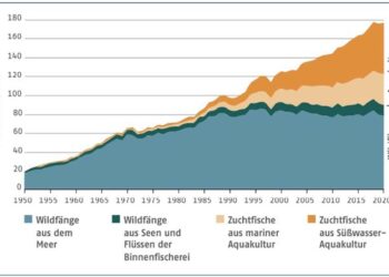 Grafik Fischfang 1950-2020