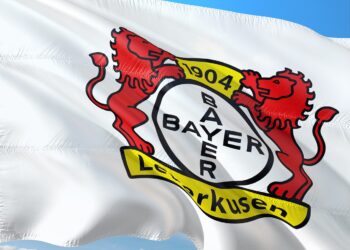 Fahne Bayer Leverkusen