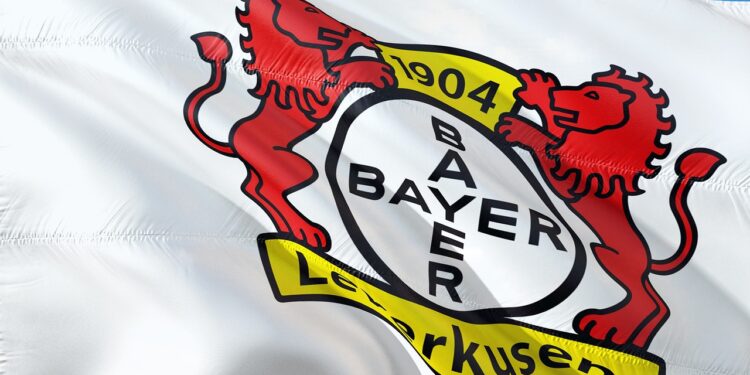 Fahne Bayer Leverkusen