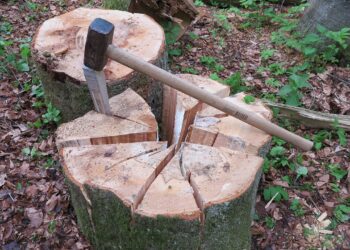 Axt und gespaltener Baumstumpf