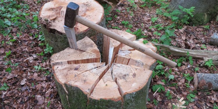Axt und gespaltener Baumstumpf