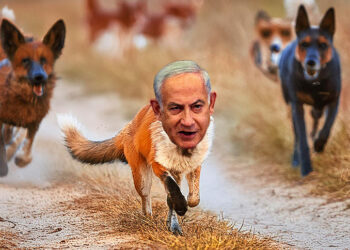 Netanjahu als Fuchs, von anderen Füchsen gejagt