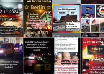 Screenshots von TikTok_Accounts aufgestachelter Bauern oder AfDlern oder anderen "Empörern"