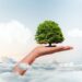Symbolbild "Wachstum". Durch eine Wolkendecke kommt eine Hand, auf der ein schöner Baum steht,
