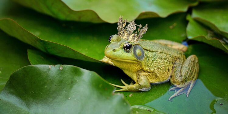 Frosch mit Krone sitzt auf einem grünen Blatt