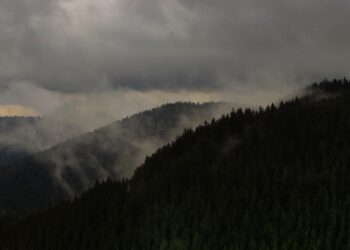 Landschaftsaufnahme: Wald und Berge des Schwarzwalds