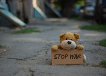 Teddy Bär auf eiern Straße mit einem Schild "stop war"
