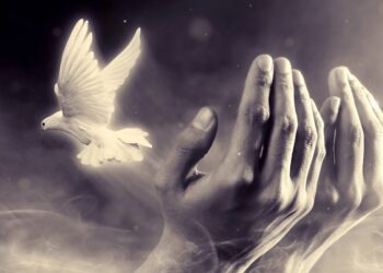 Friedenstaube fliegt aus zusammengehaltenen Händen