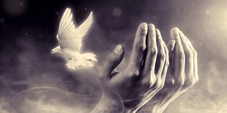 Friedenstaube fliegt aus zusammengehaltenen Händen