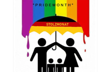 AfD Hetze gegen die queere Community in den Social Media