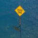 Schild "Dead End" im Wasser