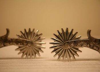 Zwei Sporen vor braunem Hintergrund