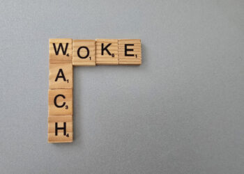 Wir Linken – wir bleiben gerne WACH! Ein Interview mit Dr. Sibylle Röth