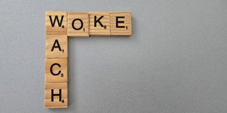 Wir Linken – wir bleiben gerne WACH! Ein Interview mit Dr. Sibylle Röth