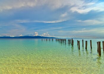Strandansicht einer Insel des malaiischen Archipels