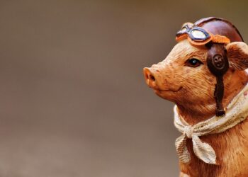 Glückschwein als Engel