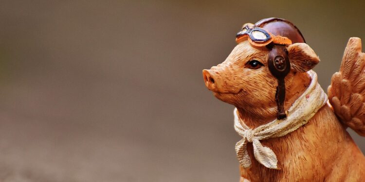 Glückschwein als Engel