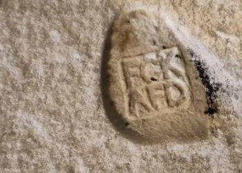 Schuhspuren im Schnee mit Abdruck FCK AfD, Screenshot Twitter